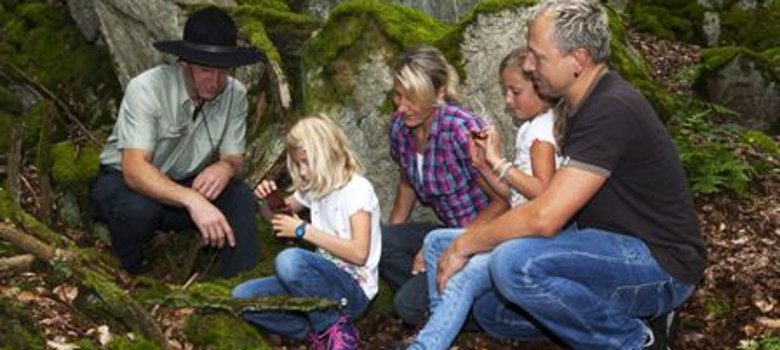 Unterwegs mit dem Ranger im Nationalpark Hunsrück-Hochwald